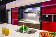 Hollacombe kitchen extensions